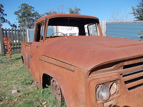Rusty in Buxton (Photo by Tseen Khoo)